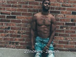 2inches_2much