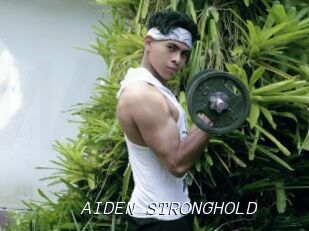 AIDEN_STRONGHOLD