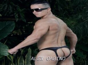 ALEX_GABINO