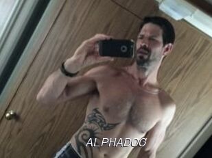 ALPHADOG