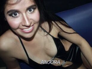 ANGORA