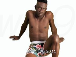 ANTHONYBUIL
