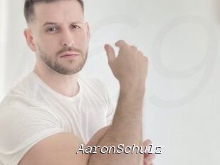 AaronSchulz