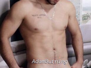 AdamBurning