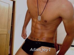 Adamjey1