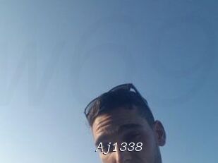 Aj1338