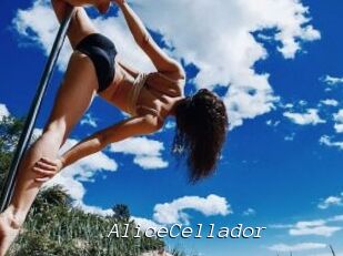 AliceCellador