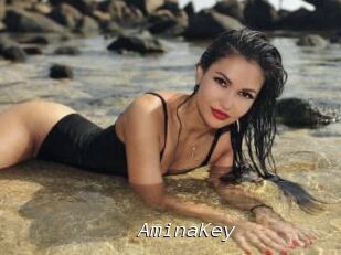 AminaKey