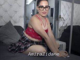 AmiraZidane