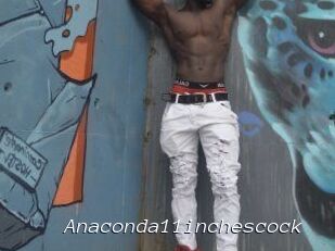Anaconda11inchescock