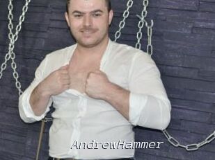 AndrewHammer