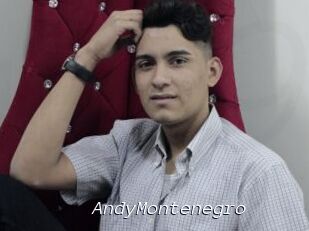 AndyMontenegro