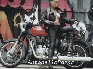 AntonellaParac