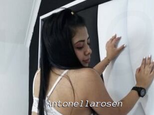 Antonellarosen