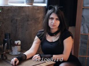 AviceBird