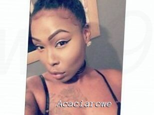 Acacia_rowe