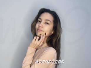 Accabigge