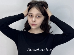Accaharkey
