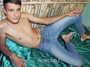 Acecool