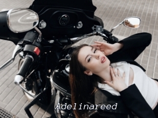 Adelinareed