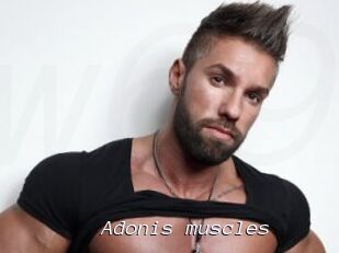 Adonis_muscles