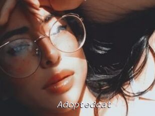 Adoptedcat