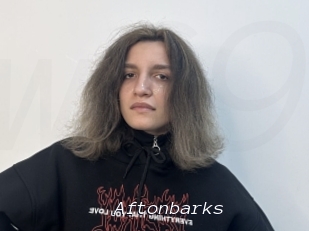 Aftonbarks