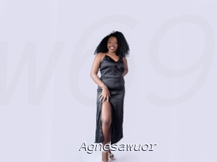 Agnesawuor