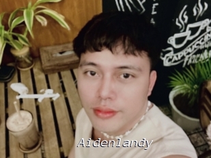 Aidenlandy