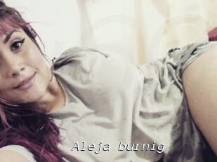 Aleja_burnig