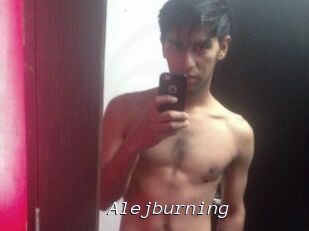 Alejburning