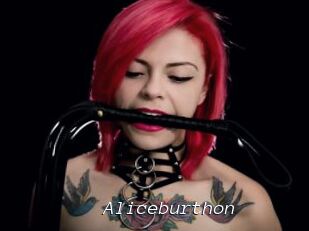 Aliceburthon