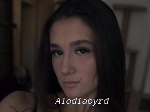 Alodiabyrd