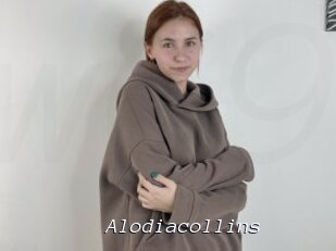 Alodiacollins