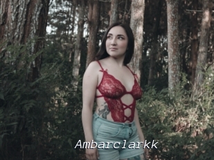 Ambarclarkk