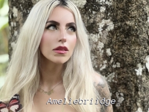 Ameliebriidge
