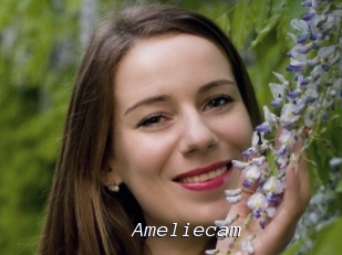 Ameliecam