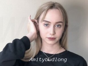 Amitybudlong