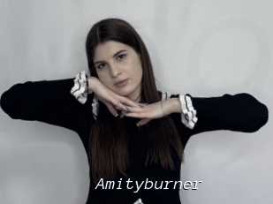 Amityburner