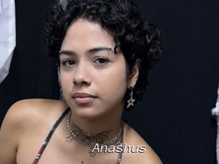 Anashus