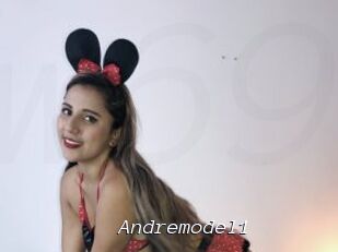 Andremodel1