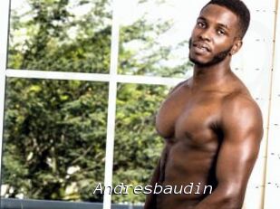 Andresbaudin