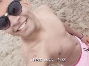 Andress_fox