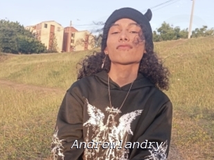 Andrewlandry