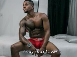 Andy_sullivann