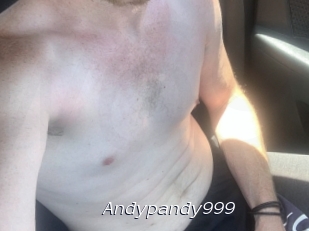 Andypandy999