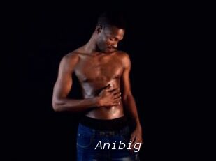 Anibig
