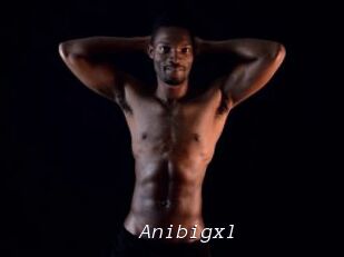 Anibigxl