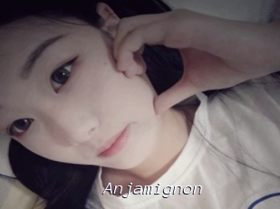 Anjamignon