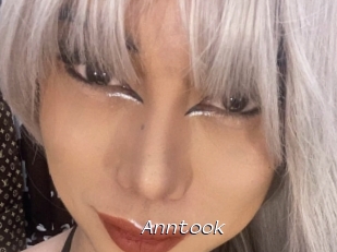 Anntook